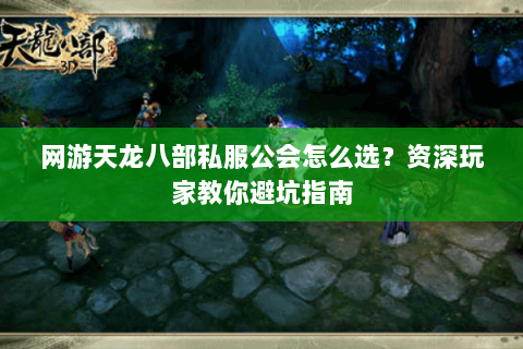 网游天龙八部私服公会怎么选？资深玩家教你避坑指南