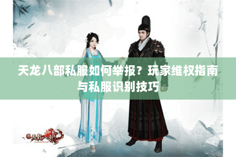 天龙八部私服如何举报？玩家维权指南与私服识别技巧