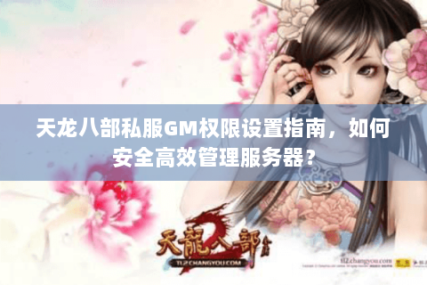 天龙八部私服GM权限设置指南，如何安全高效管理服务器？