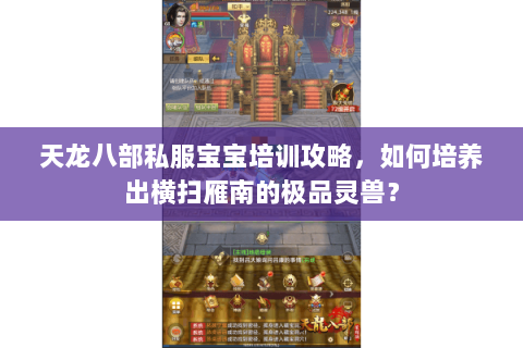 天龙八部私服宝宝培训攻略，如何培养出横扫雁南的极品灵兽？