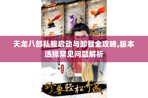天龙八部私服启动与卸载全攻略,版本选择常见问题解析