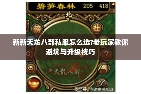 新新天龙八部私服怎么选?老玩家教你避坑与升级技巧