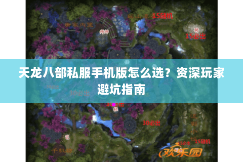 天龙八部私服手机版怎么选？资深玩家避坑指南