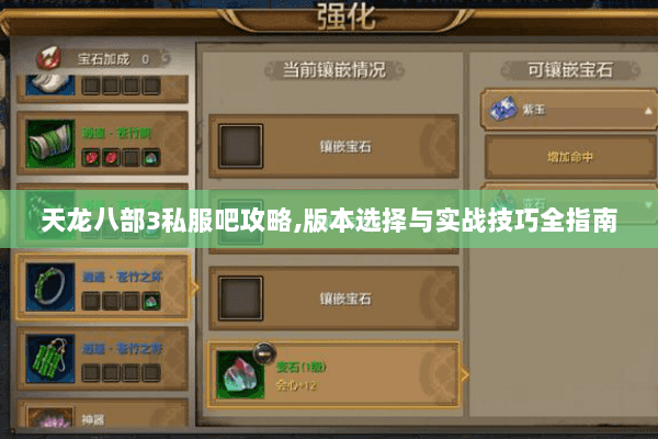 天龙八部3私服吧攻略，版本选择与实战技巧全指南