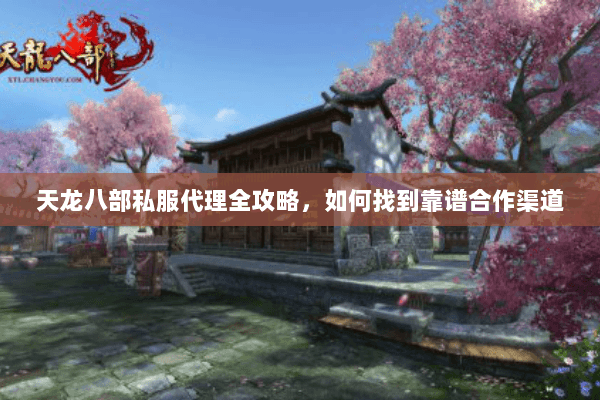 天龙八部私服代理全攻略，如何找到靠谱合作渠道