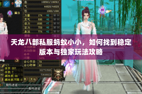 天龙八部私服蚂蚁小小，如何找到稳定版本与独家玩法攻略