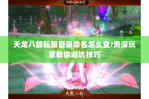 天龙八部私服目录命名怎么查?资深玩家教你避坑技巧