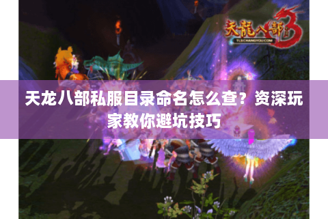 天龙八部私服目录命名怎么查？资深玩家教你避坑技巧