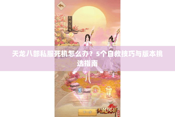 天龙八部私服死机怎么办？5个自救技巧与版本挑选指南