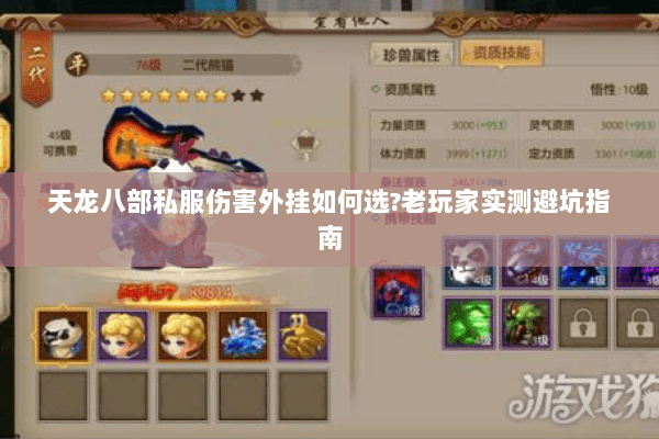 天龙八部私服伤害外挂如何选?老玩家实测避坑指南