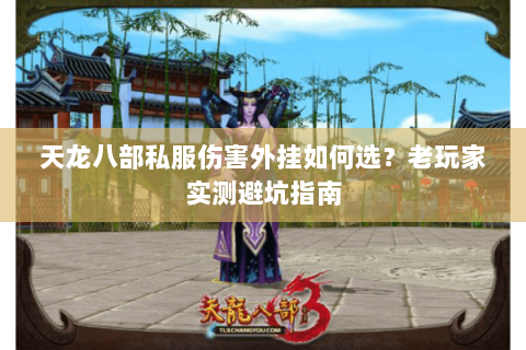天龙八部私服伤害外挂如何选？老玩家实测避坑指南