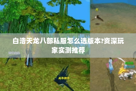 白浩天龙八部私服怎么选版本?资深玩家实测推荐