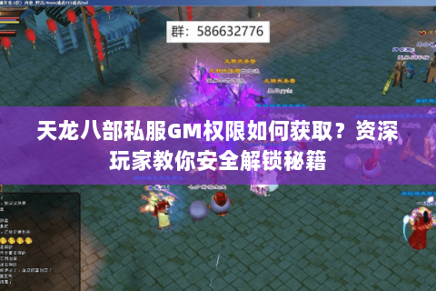 天龙八部私服GM权限如何获取？资深玩家教你安全解锁秘籍