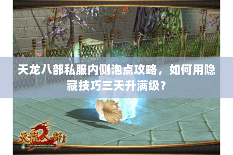 天龙八部私服内侧泡点攻略，如何用隐藏技巧三天升满级？