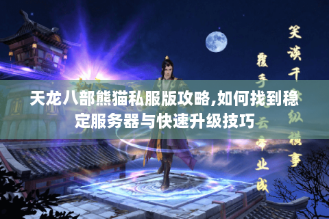 天龙八部熊猫私服版攻略,如何找到稳定服务器与快速升级技巧