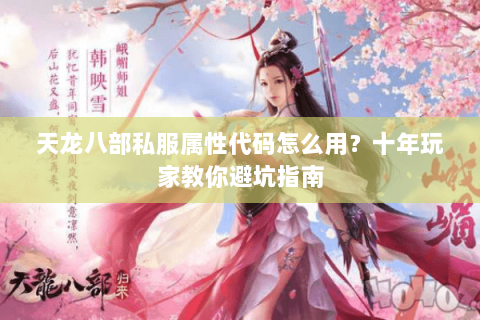 天龙八部私服属性代码怎么用？十年玩家教你避坑指南