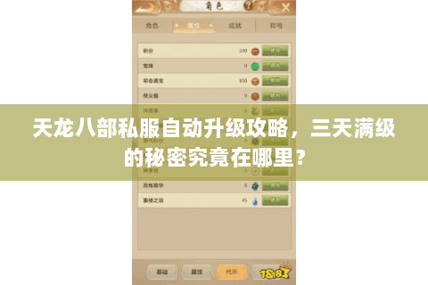 天龙八部私服自动升级攻略，三天满级的秘密究竟在哪里？