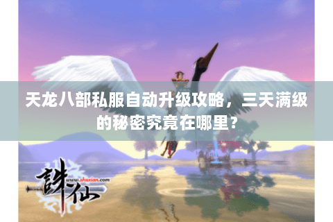 天龙八部私服自动升级攻略，三天满级的秘密究竟在哪里？