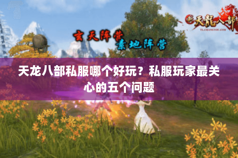 天龙八部私服哪个好玩？私服玩家最关心的五个问题