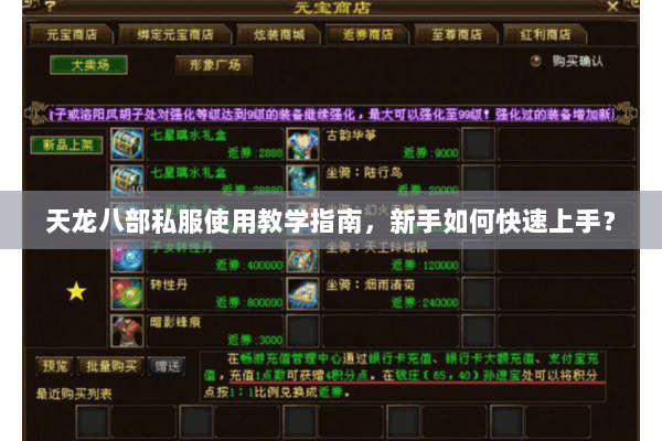 天龙八部私服使用教学指南，新手如何快速上手？