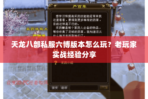 天龙八部私服六博版本怎么玩？老玩家实战经验分享