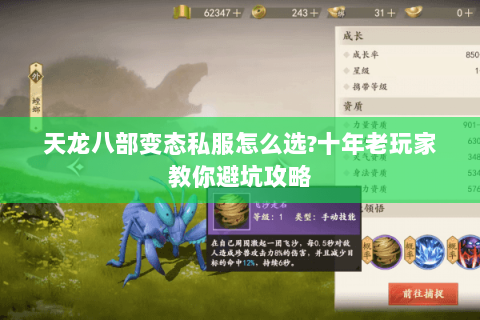 天龙八部变态私服怎么选?十年老玩家教你避坑攻略