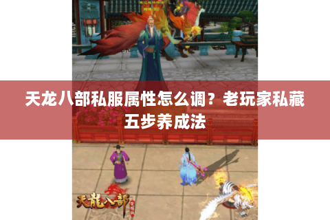 天龙八部私服属性怎么调？老玩家私藏五步养成法