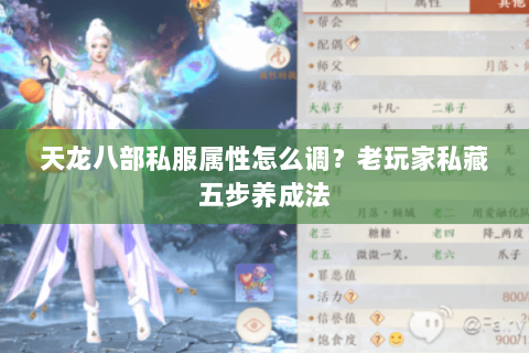 天龙八部私服属性怎么调？老玩家私藏五步养成法