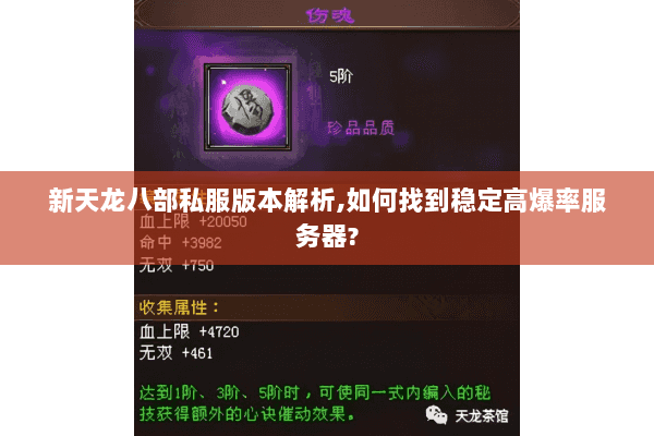 新天龙八部私服版本解析，如何找到稳定高爆率服务器？