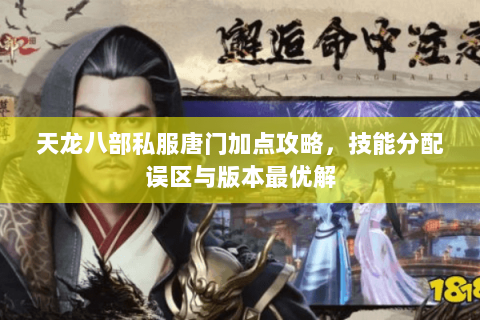 天龙八部私服唐门加点攻略，技能分配误区与版本最优解