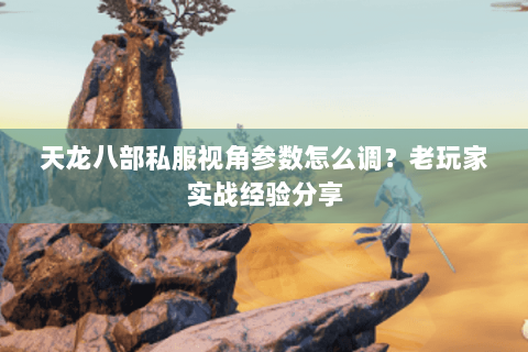 天龙八部私服视角参数怎么调？老玩家实战经验分享
