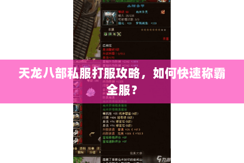 天龙八部私服打服攻略，如何快速称霸全服？