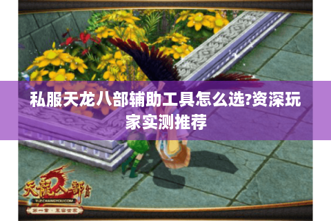 私服天龙八部辅助工具怎么选？资深玩家实测推荐