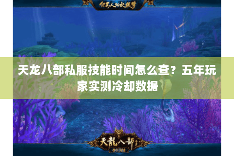 天龙八部私服技能时间怎么查？五年玩家实测冷却数据