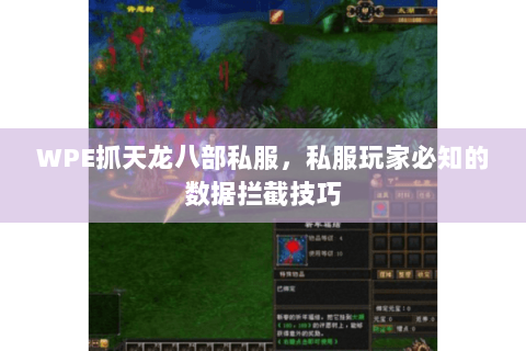 WPE抓天龙八部私服，私服玩家必知的数据拦截技巧