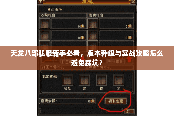 天龙八部私服新手必看，版本升级与实战攻略怎么避免踩坑？