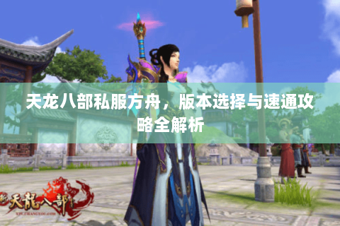 天龙八部私服方舟，版本选择与速通攻略全解析