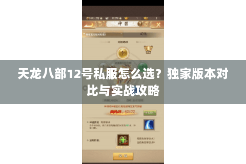 天龙八部12号私服怎么选？独家版本对比与实战攻略