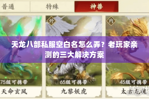 天龙八部私服空白名怎么弄？老玩家亲测的三大解决方案