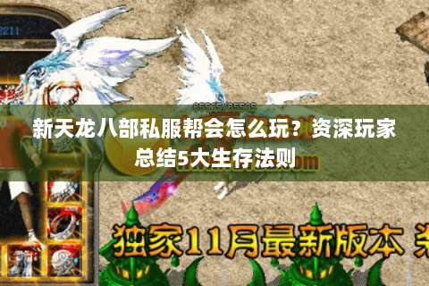 新天龙八部私服帮会怎么玩？资深玩家总结5大生存法则