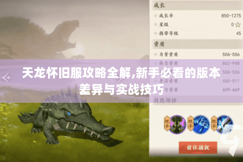 天龙怀旧服攻略全解,新手必看的版本差异与实战技巧
