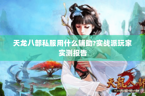 天龙八部私服用什么辅助?实战派玩家实测报告