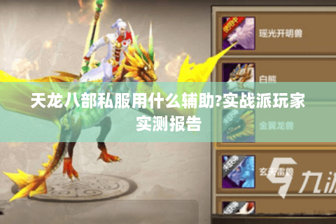 天龙八部私服用什么辅助?实战派玩家实测报告