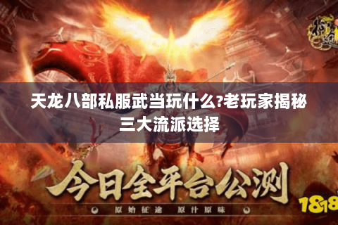 天龙八部私服武当玩什么?老玩家揭秘三大流派选择