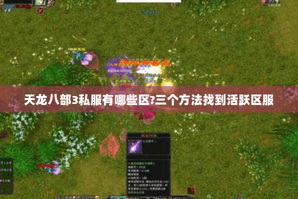 天龙八部3私服有哪些区?三个方法找到活跃区服