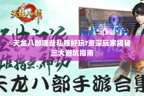 天龙八部哪些私服好玩?资深玩家揭秘三大避坑指南