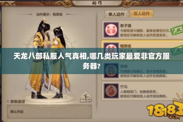天龙八部私服人气真相,哪几类玩家最爱非官方服务器?