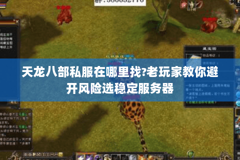 天龙八部私服在哪里找?老玩家教你避开风险选稳定服务器