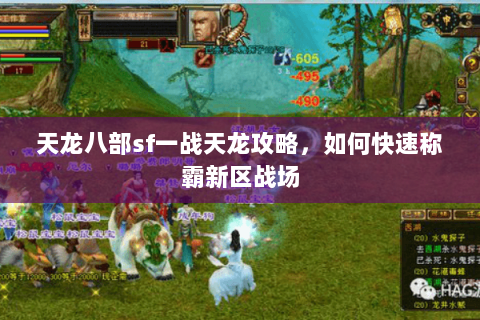 天龙八部sf一战天龙攻略，如何快速称霸新区战场