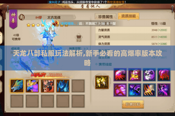 天龙八部私服玩法解析,新手必看的高爆率版本攻略